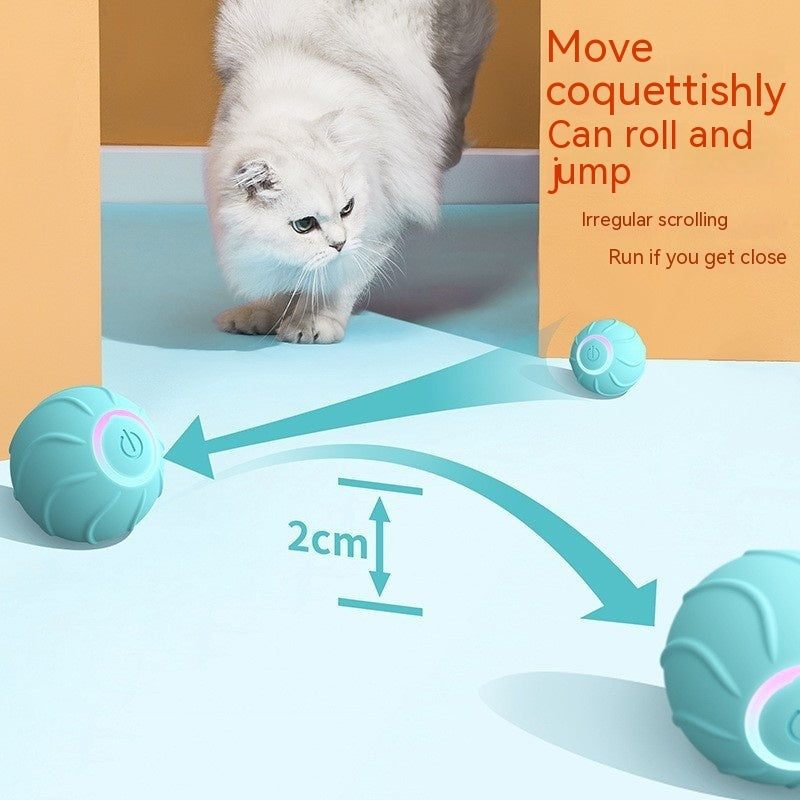 Kittens Chargeable Automatic Bouncing Ball