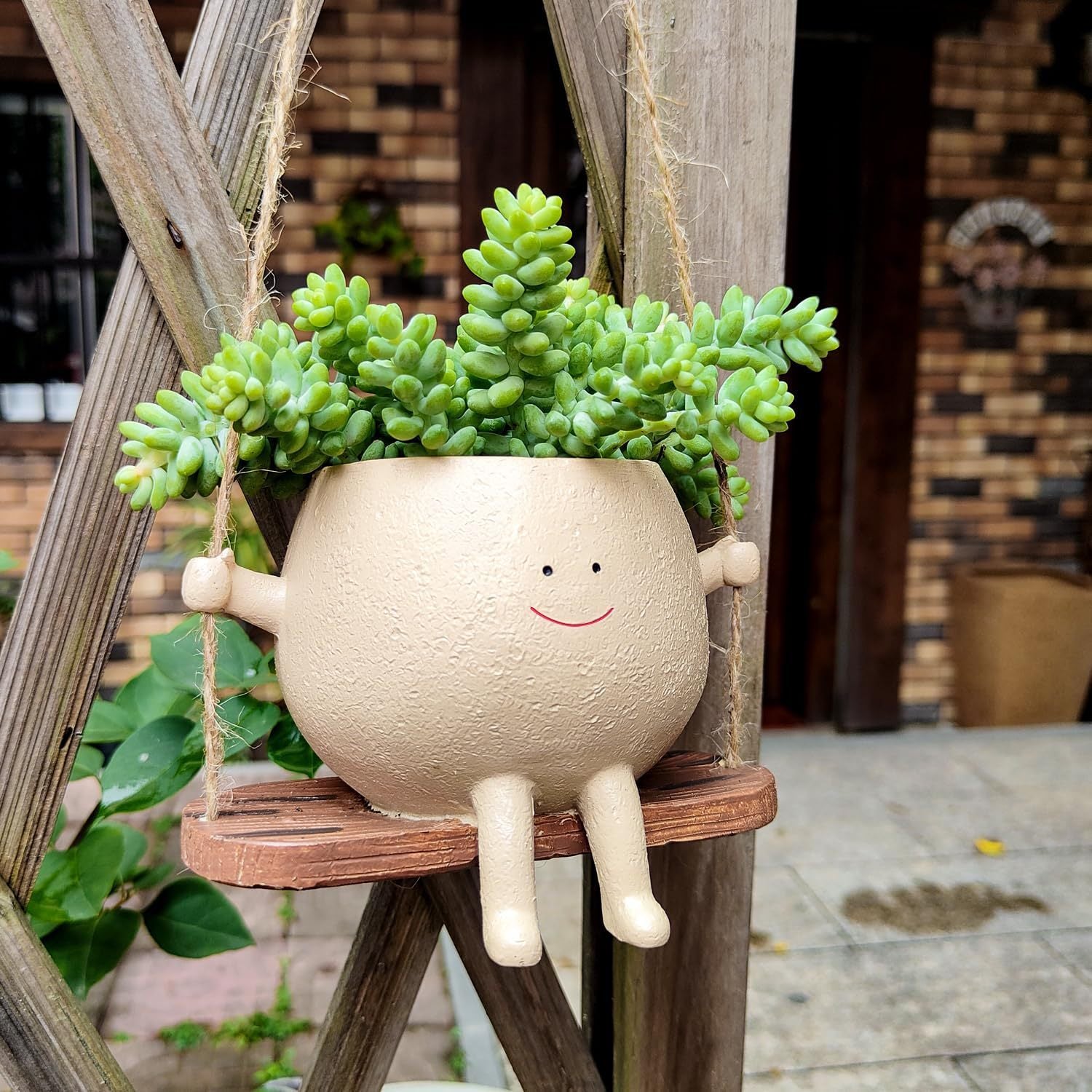 Levely Swing Face Succulent Planter Basket