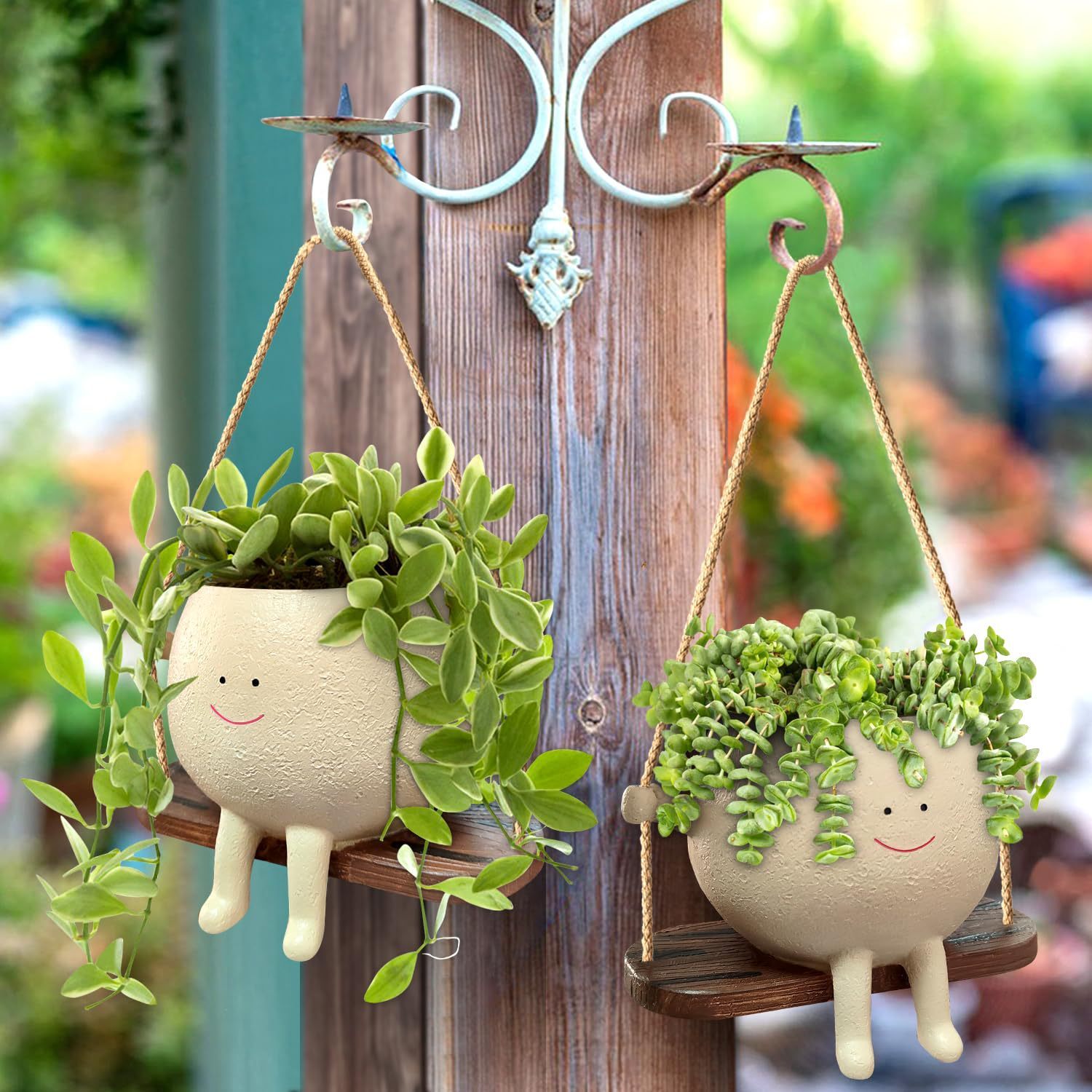 Levely Swing Face Succulent Planter Basket