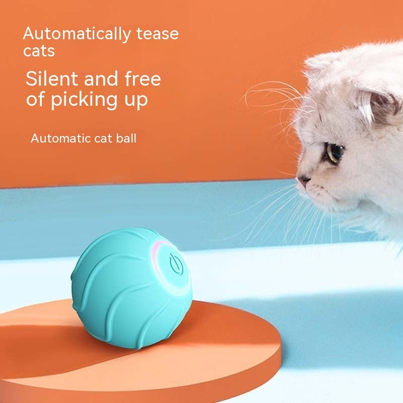 Kittens Chargeable Automatic Bouncing Ball