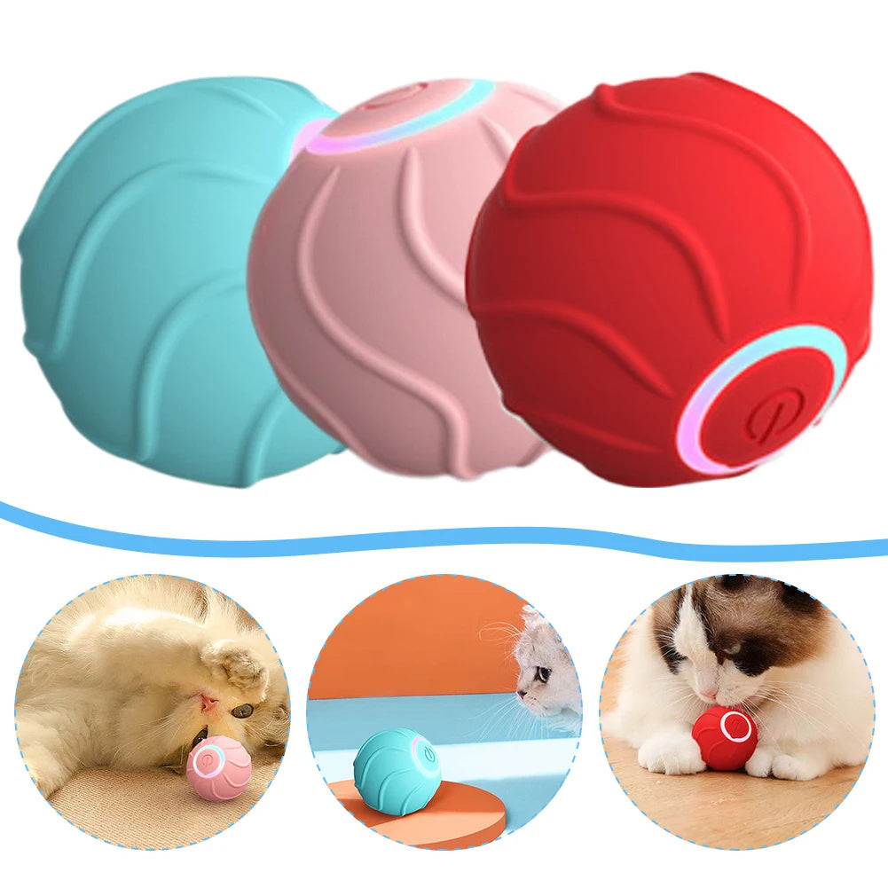 Kittens Chargeable Automatic Bouncing Ball