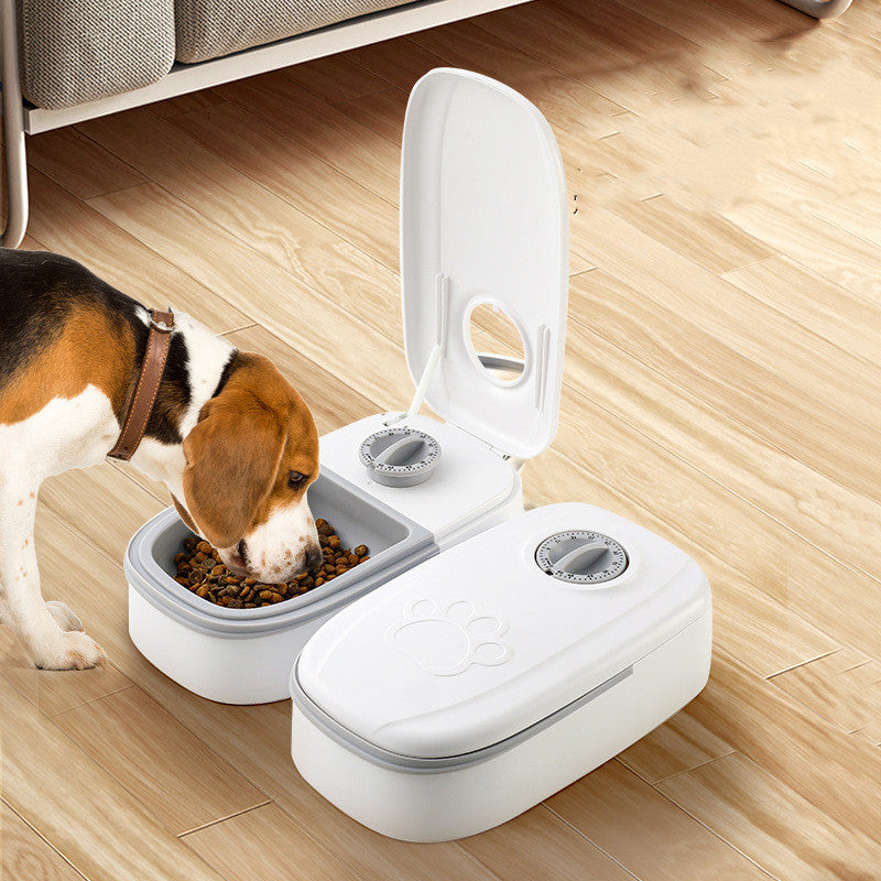 Automatic Stainless Pet Food Dispenser