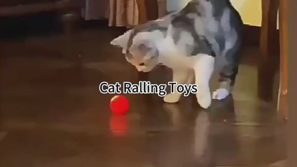 Kittens Chargeable Automatic Bouncing Ball