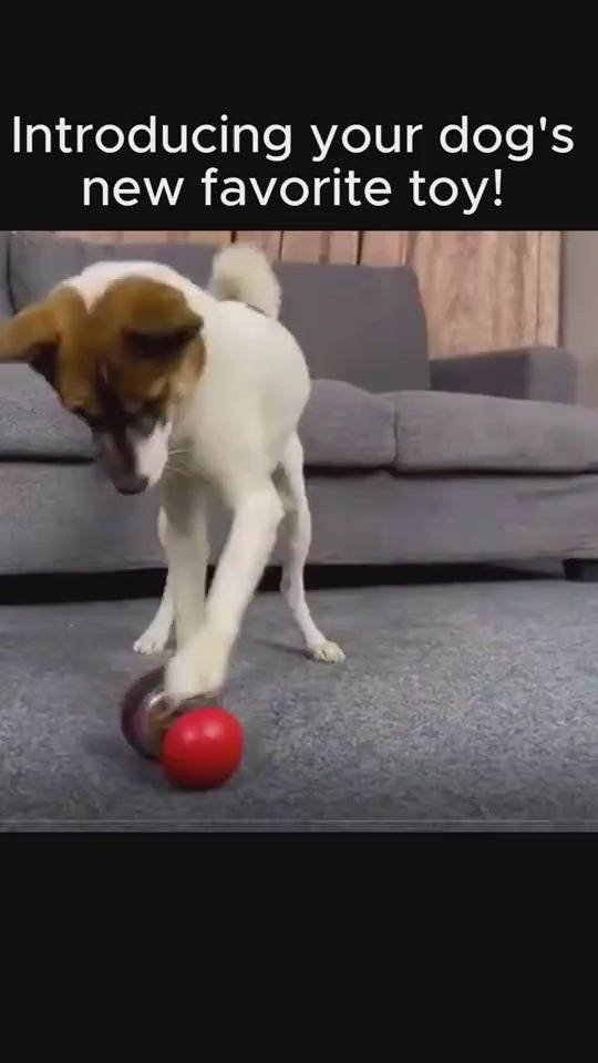 Food Dispensing Slowly Feeding Dog Toy